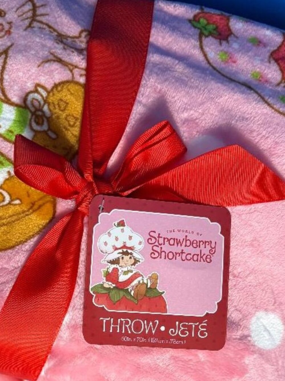 NEW BEAUTIFUL STRAWBERRY SHORTCAKE & KITTY CUSTARD 60" X 70" PLUSH THROW BLANKET - Picture 4 of 13